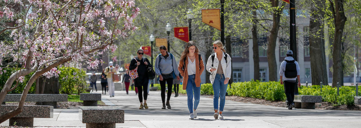 Students walk on Northrop Mall near a flowering tree in spring