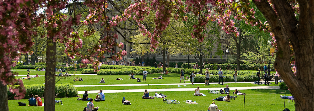 Students sitting on a grassy field beneath flowering trees.